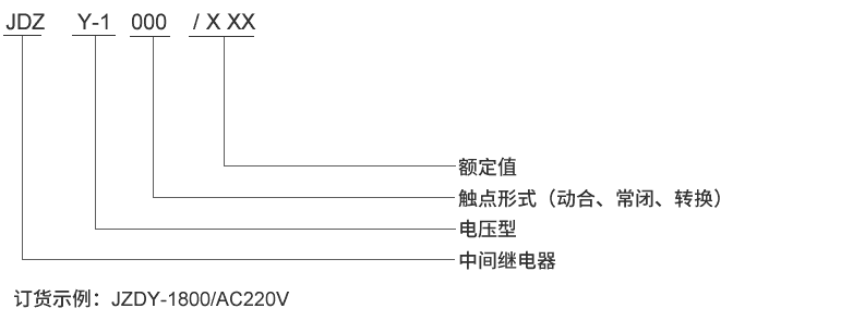 JDZY-1006型號及其含義